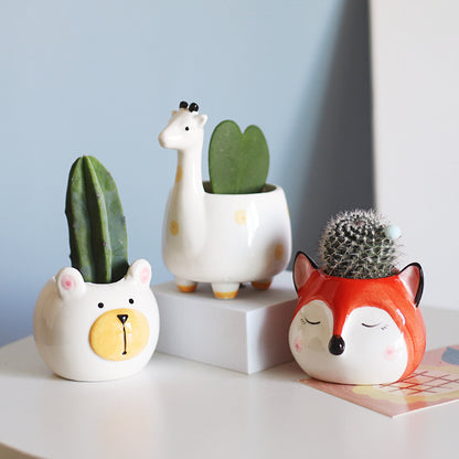 Cute Cartoon Succulent Pot 🌱 Mini Plant Decor