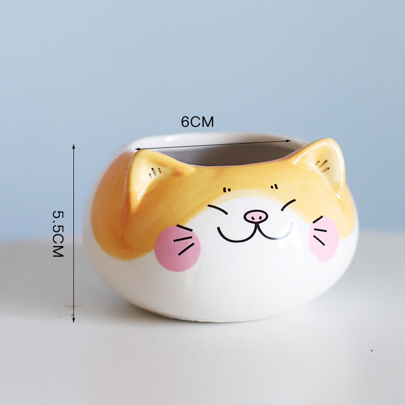 Cute Cartoon Succulent Pot 🌱 Mini Plant Decor