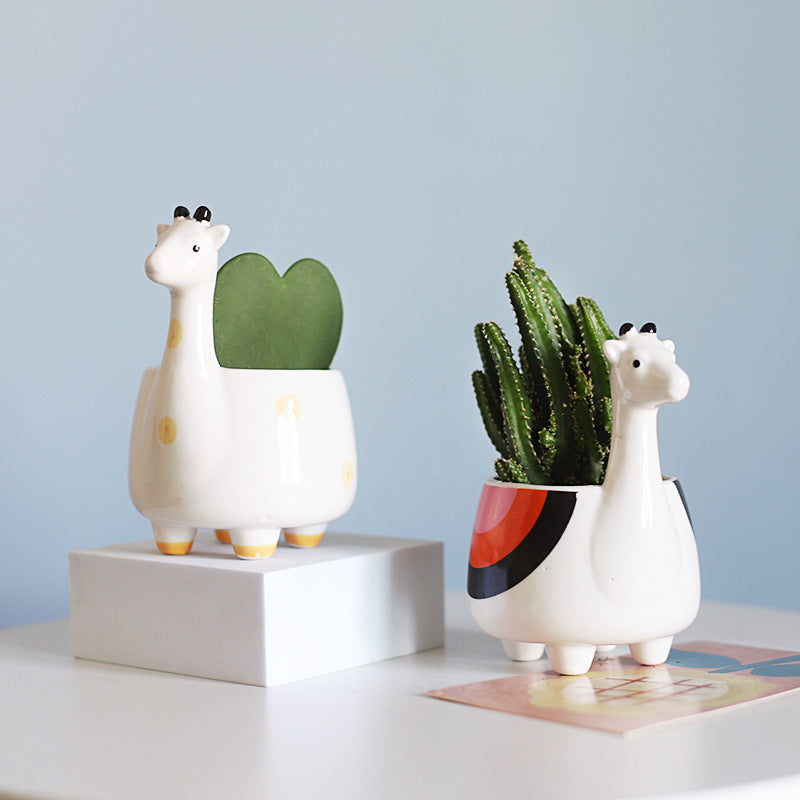 Cute Cartoon Succulent Pot 🌱 Mini Plant Decor