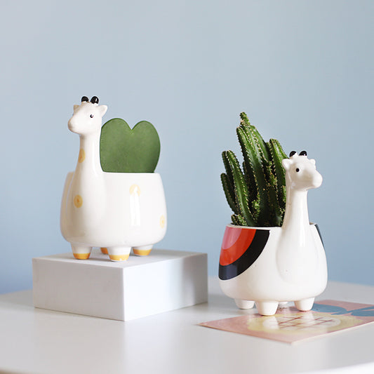 Cute Cartoon Succulent Pot 🌱 Mini Plant Decor